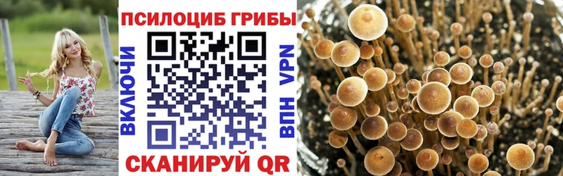 где купить наркотик  ОМГ ОМГ ССЫЛКА  Псилоцибиновые грибы Psilocybine cubensis  Южноуральск 
